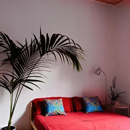 13 Open House 巴勒莫