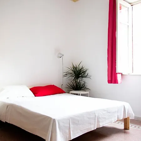 13 Open House * 巴勒莫